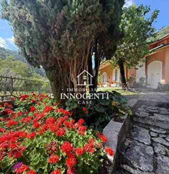 Foto annuncio 6