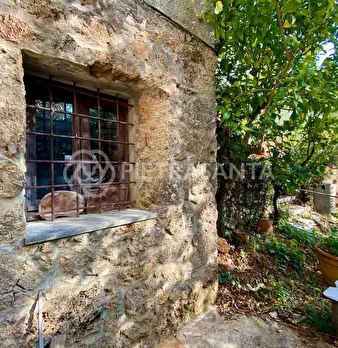 Foto annuncio 8