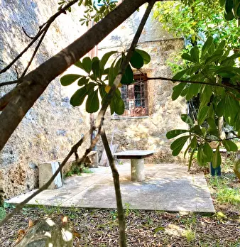 Foto annuncio 11