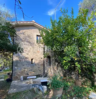 Foto annuncio 3