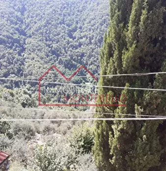 Foto annuncio 15