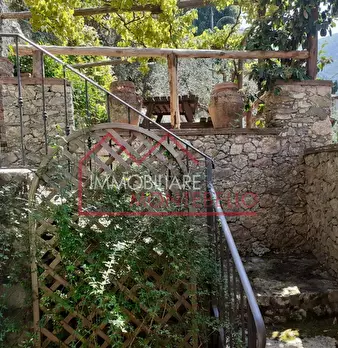 Foto annuncio 31