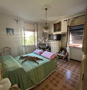 Foto annuncio 7