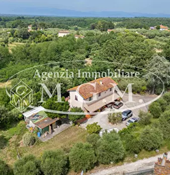 Foto annuncio 9