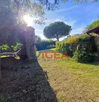 Foto annuncio 35