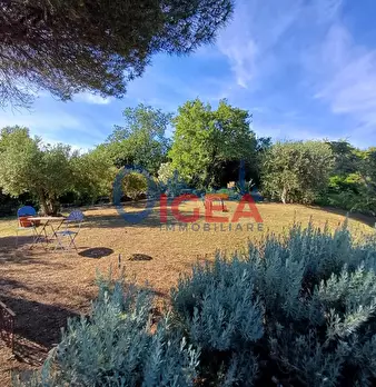 Foto annuncio 56