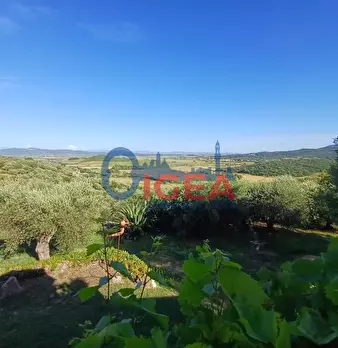 Foto annuncio 57