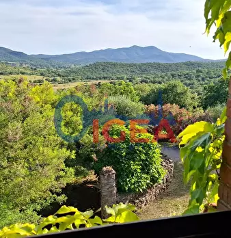 Foto annuncio 66