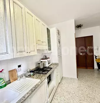 Foto annuncio 7