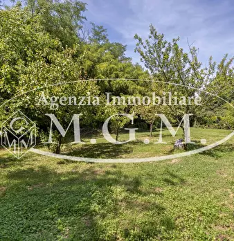 Foto annuncio 29