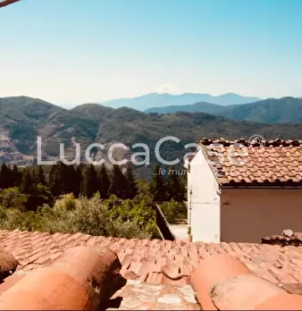 Foto annuncio 32