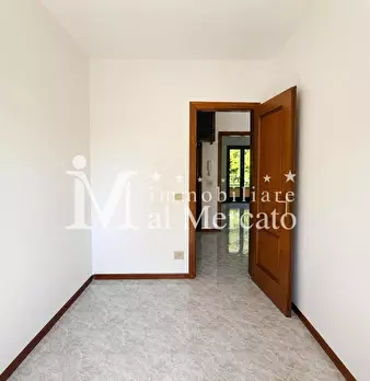Foto annuncio 49