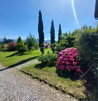 Foto annuncio 10