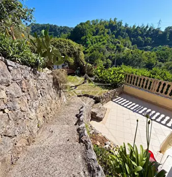 Foto annuncio 32