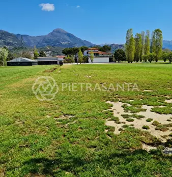 Foto annuncio 30