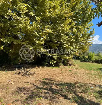 Foto annuncio 10