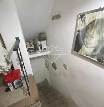 Foto annuncio 12