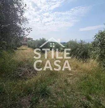 Foto annuncio 11