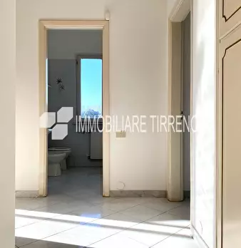Foto annuncio 12