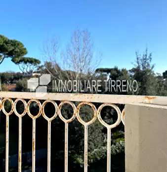Foto annuncio 21