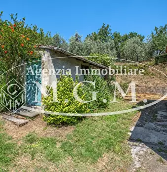 Foto annuncio 13