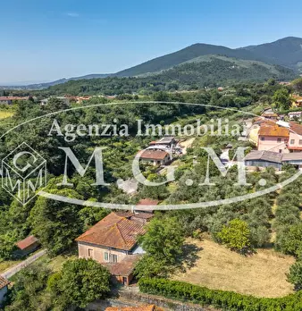 Foto annuncio 7