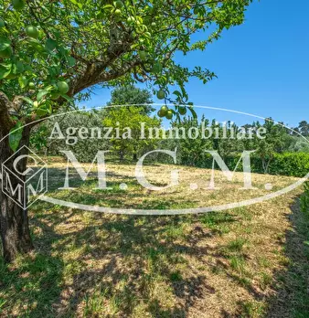 Foto annuncio 20