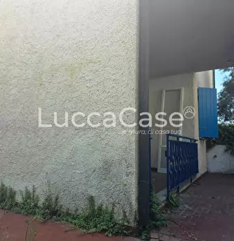 Foto annuncio 5