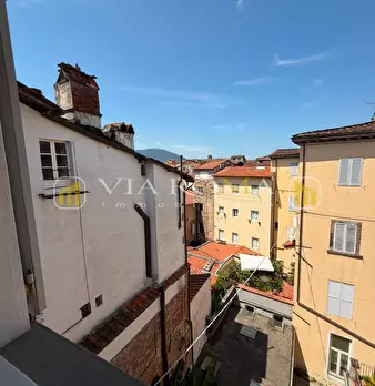 Foto annuncio 41