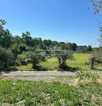 Foto annuncio 4