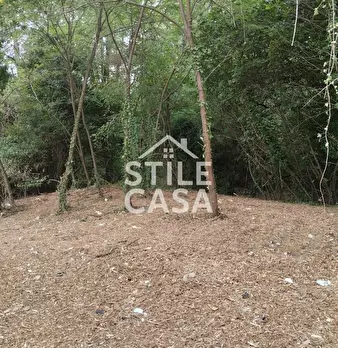 Foto annuncio 61