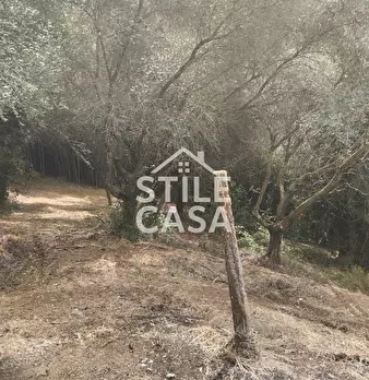 Foto annuncio 57