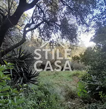 Foto annuncio 43