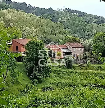 Foto annuncio 62