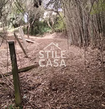 Foto annuncio 52