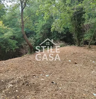 Foto annuncio 59
