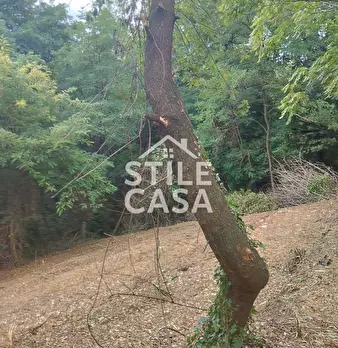 Foto annuncio 60
