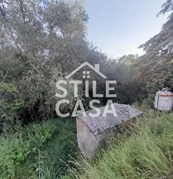 Foto annuncio 46