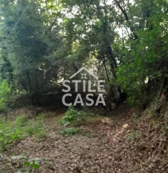 Foto annuncio 39