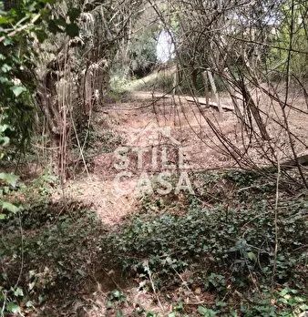 Foto annuncio 51