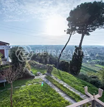 Foto annuncio 12
