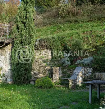 Foto annuncio 6