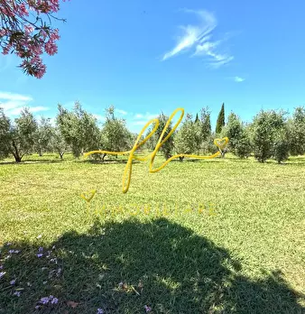 Foto annuncio 52
