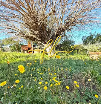 Foto annuncio 48