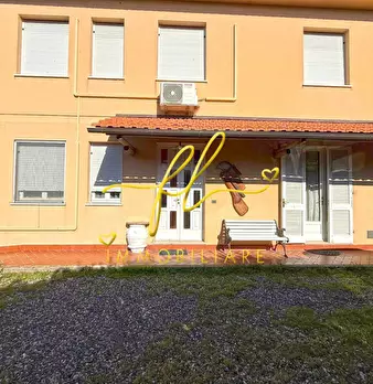 Foto annuncio 5