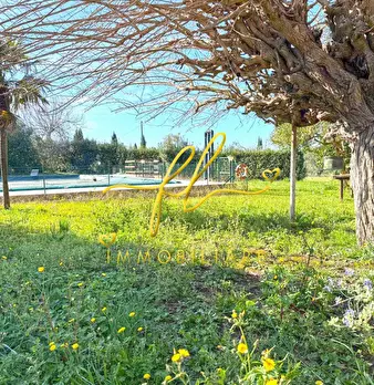 Foto annuncio 42