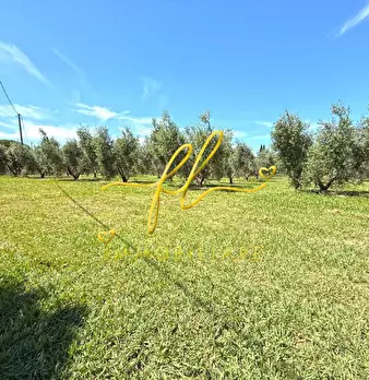 Foto annuncio 53