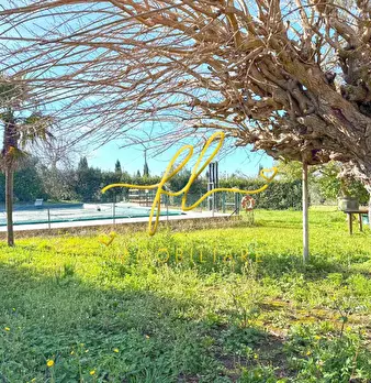 Foto annuncio 43