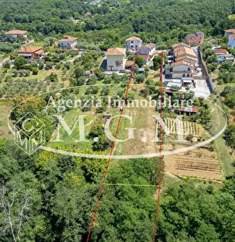 Foto annuncio 2