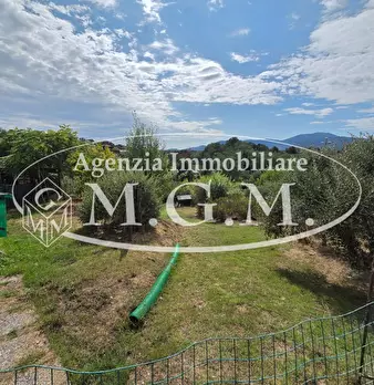 Foto annuncio 30